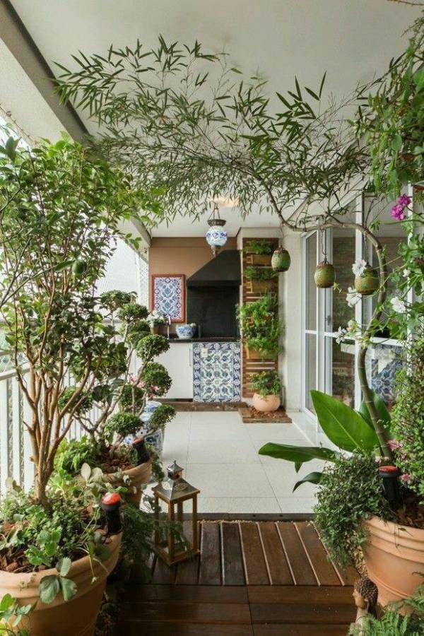 A Small Urban Balcony Garden Arts