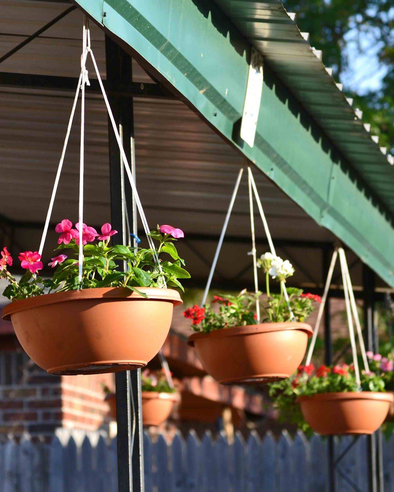 Hanging Flower Pot Plant Ideas