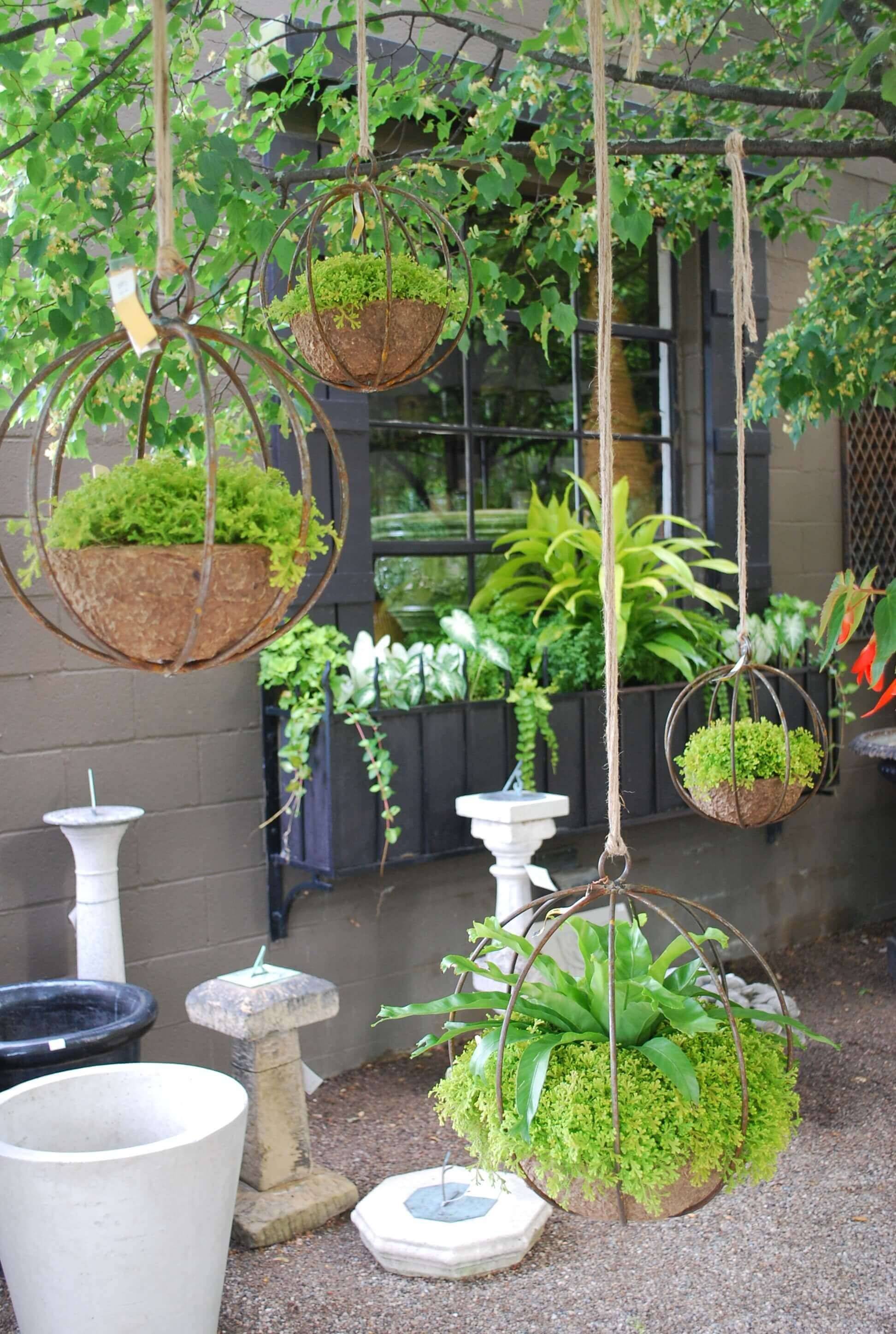 Hanging Flower Pot Plant Ideas
