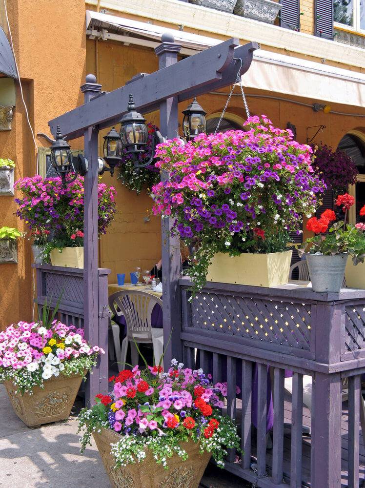 Best Outdoor Hanging Planter Ideas