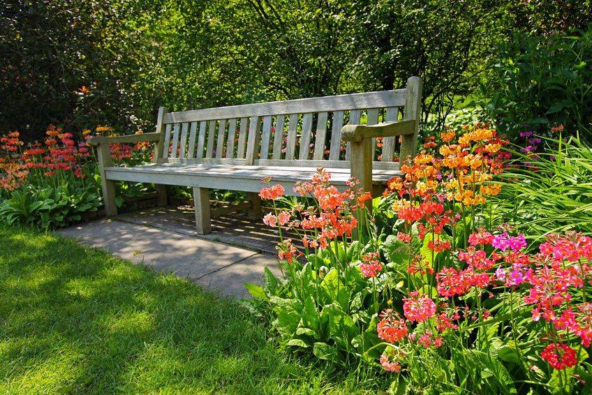 Flower Garden And Vintage Bench Garden Bench