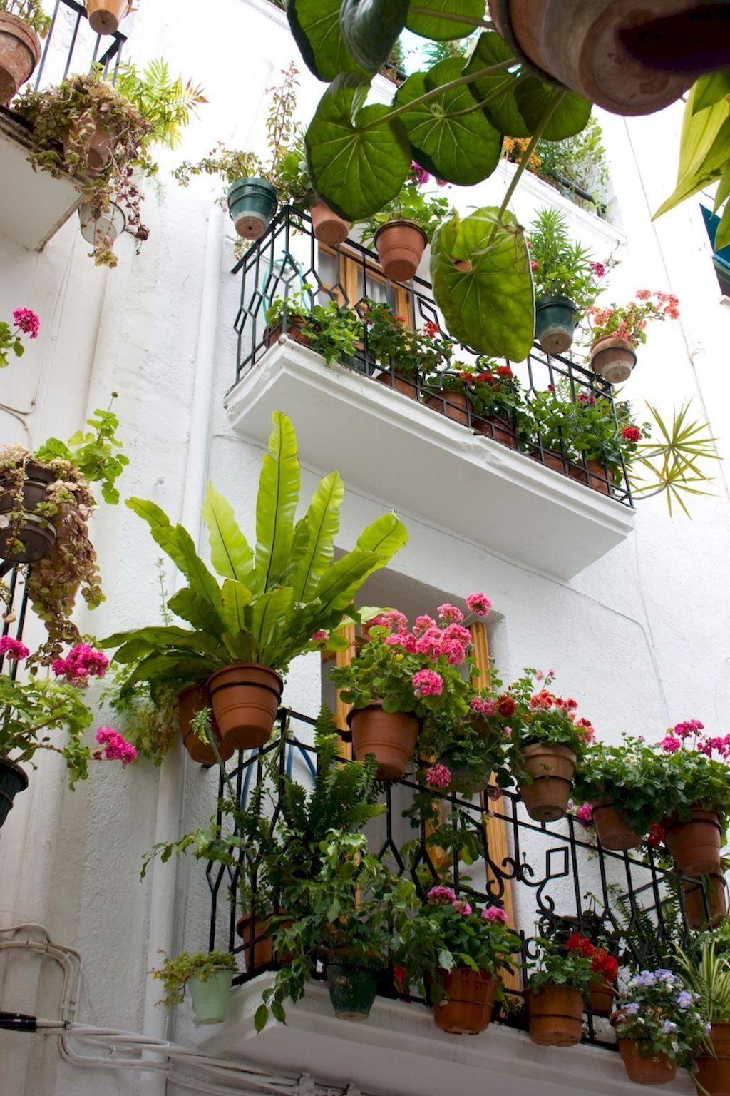 Vertical Balcony Garden Ideas