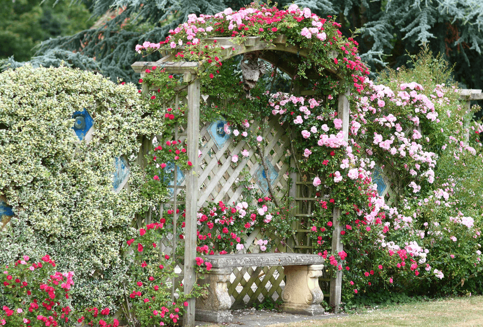 Woodengardenbenchdesignwithtwometalchairsandbeautifulflowers