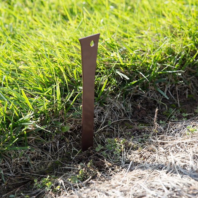 Harrod Steel Plant Stakes Natural Rust Harrod Horticultural