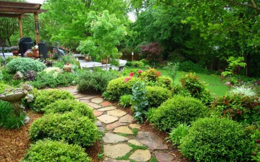 Your Own Organic Garden Useful Garden Ideas