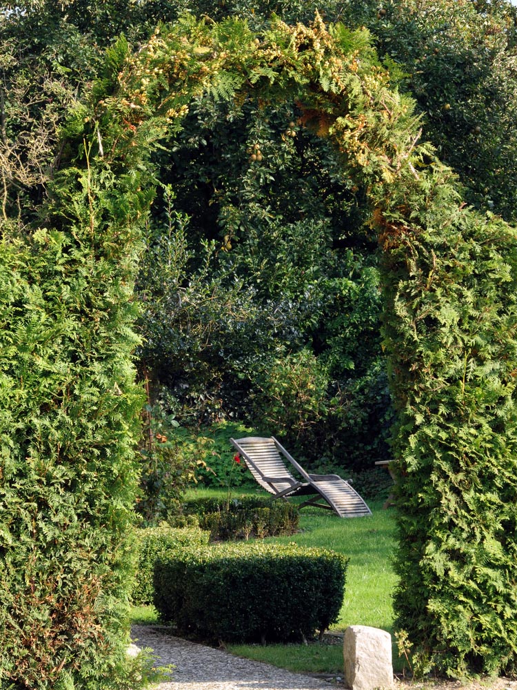 Lovely Backyard Ponds Ideas