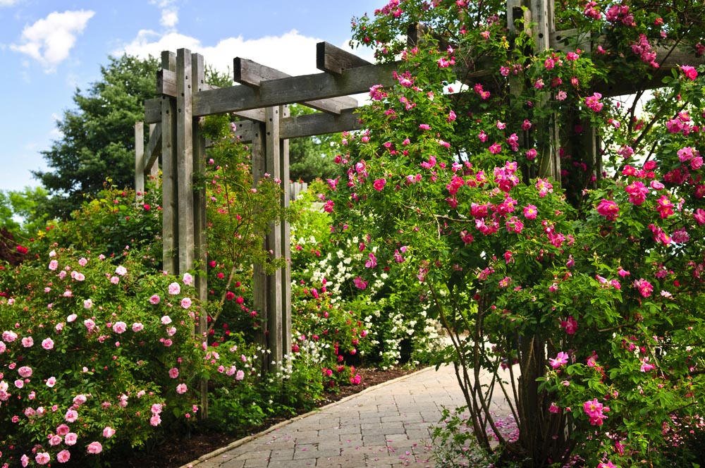 Unique Garden Bed Ideas You Want To Try