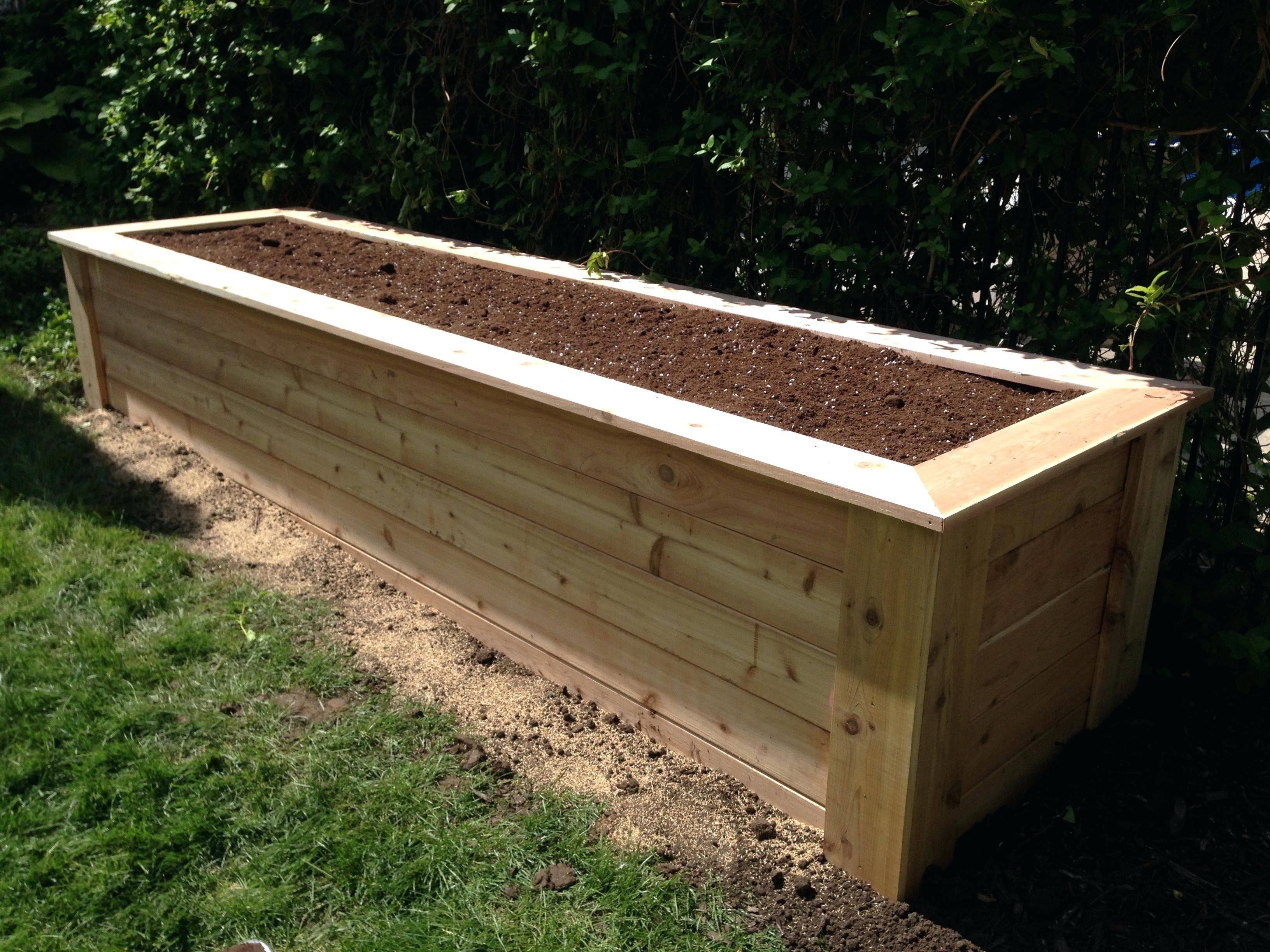 Garden Boxes