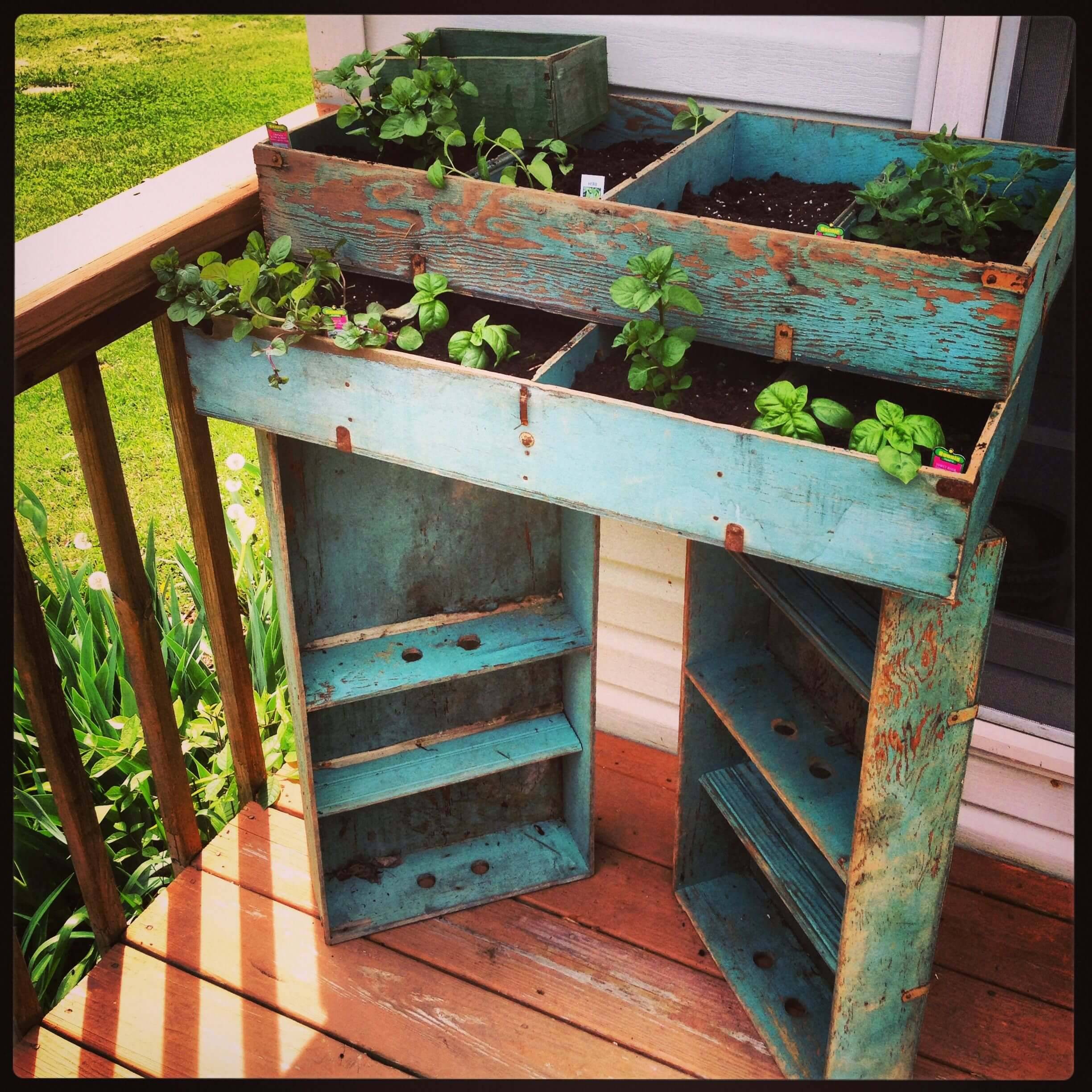 Creative Pallet Gardening Ideas