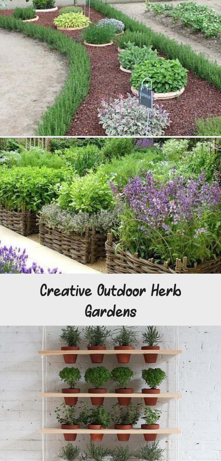 Creative Herb Garden Ideas