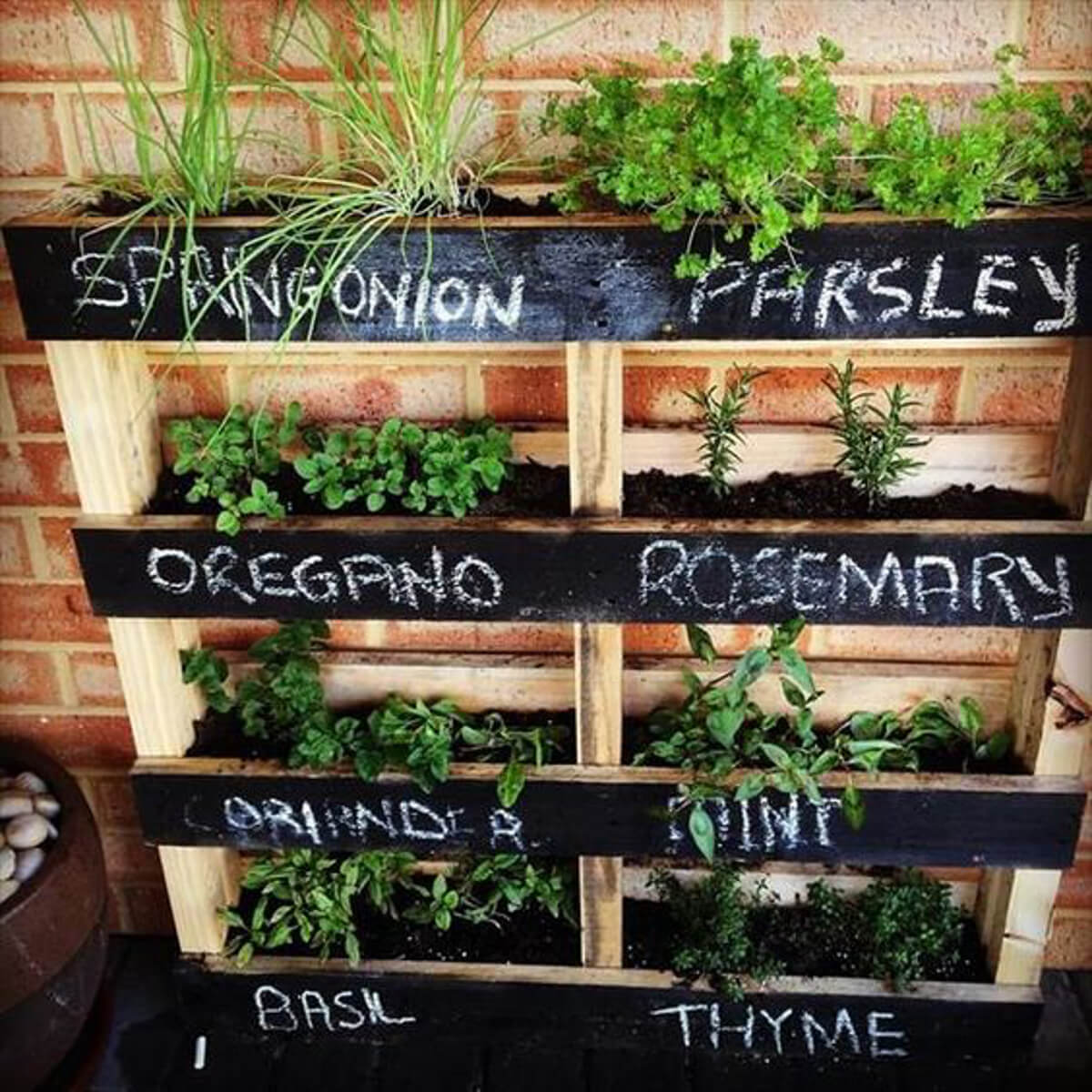 Creative Herb Garden Ideas