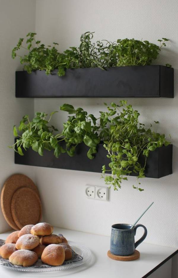 Creative Diy Indoor Herb Garden Ideas