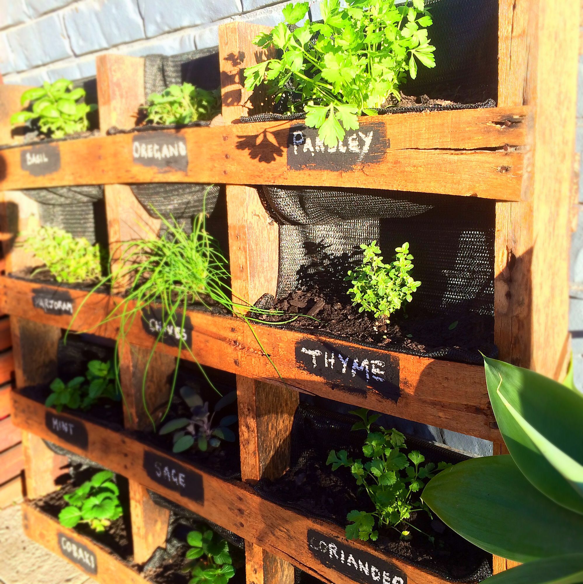 Incredibly Simple Diy Herbs Garden Ideas