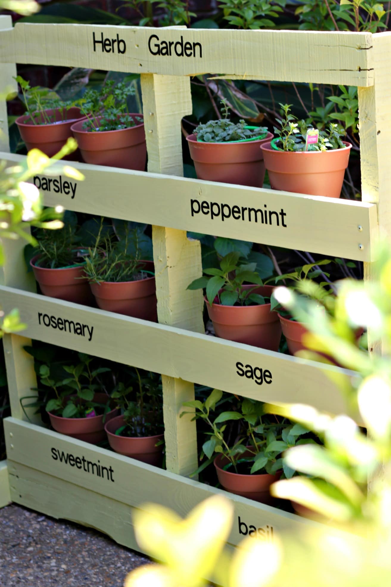 Raised Herb Garden Box Garden Design Ideas