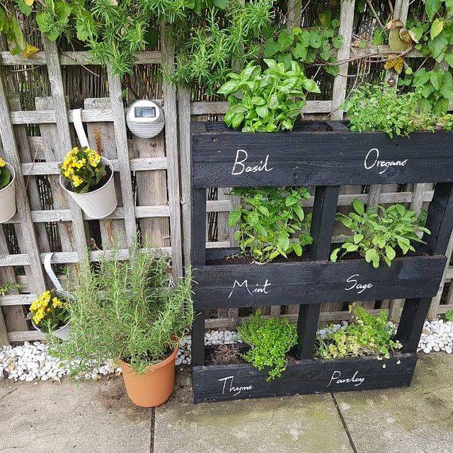 Vertical Pallet Gardens Diy Health Journal