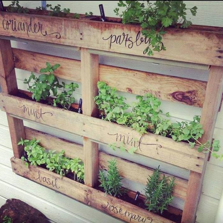 Diy Pallet Wall Garden Planter