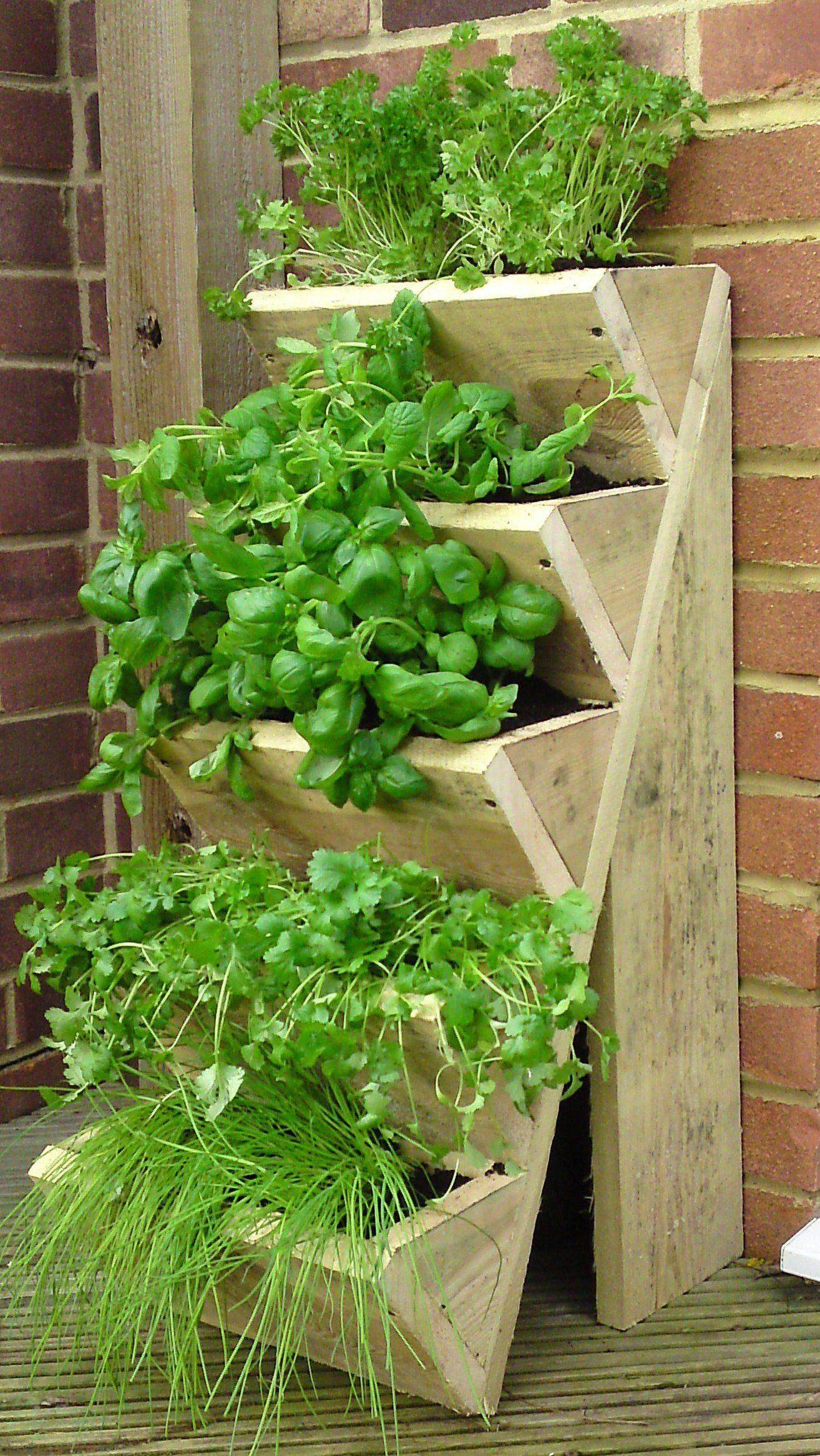 Small Tiered Herb Garden Herb Garden