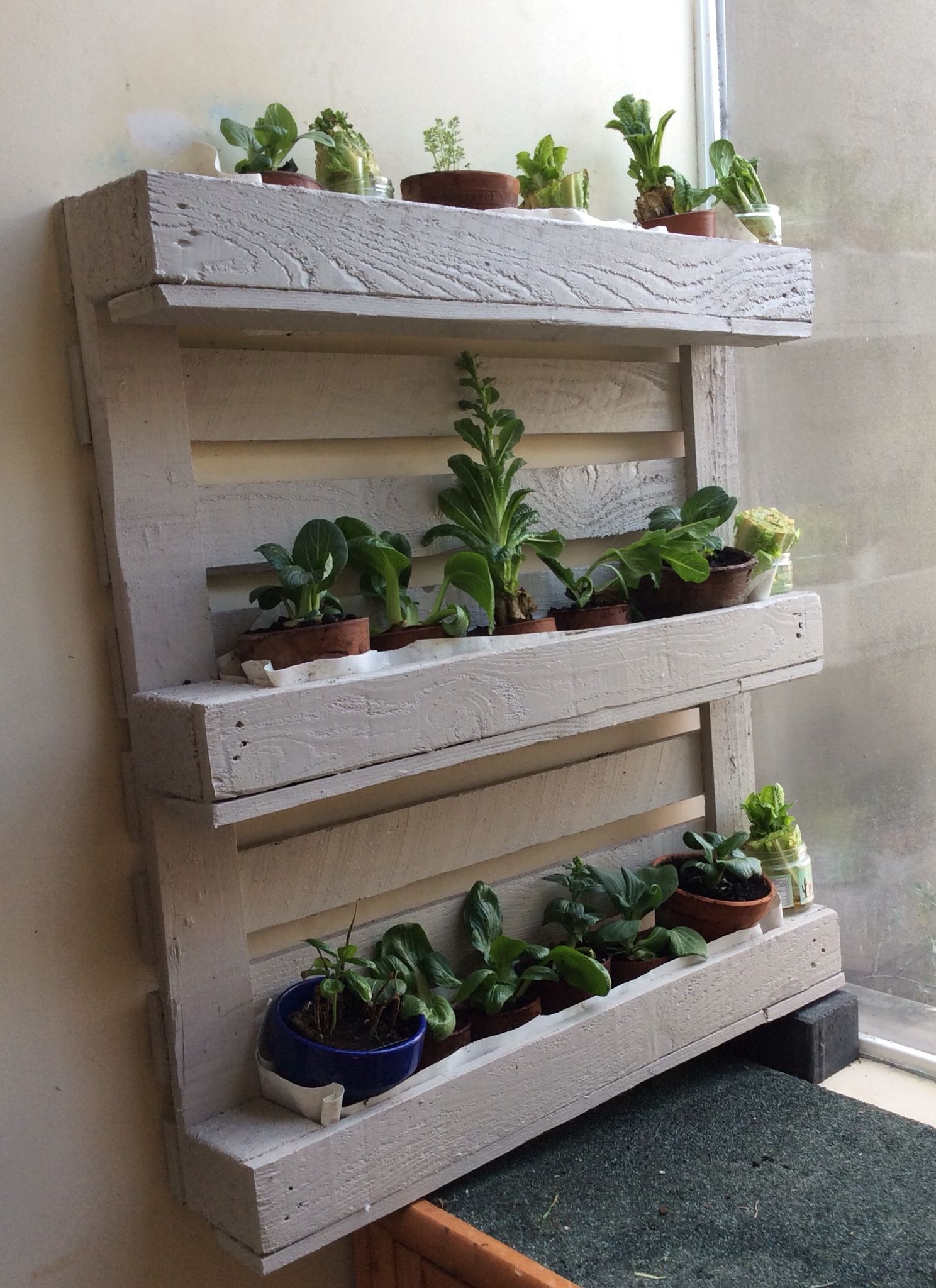 Innovative Diy Pallet Vertical Garden Ideas