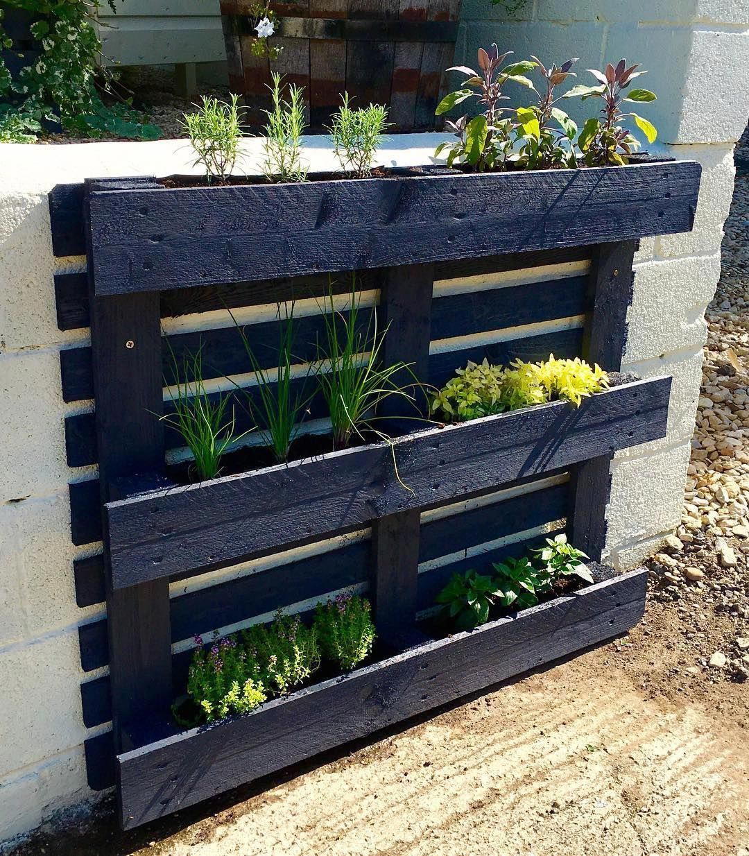 Lights Easy Pallet Ideas