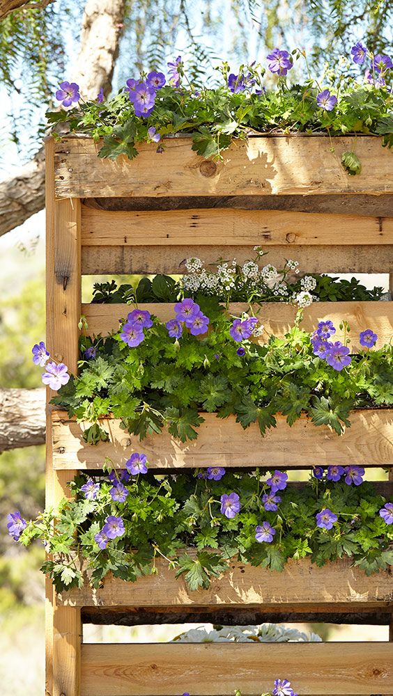 Unstructured Pallet Vertical Garden