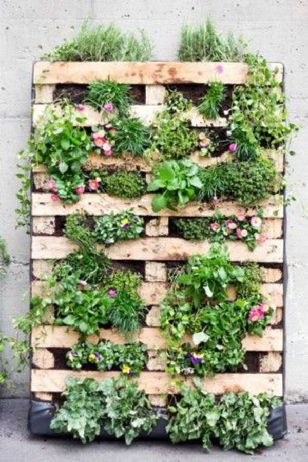 Unstructured Pallet Vertical Garden