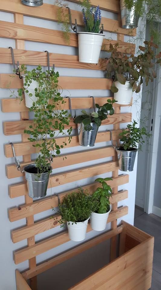 Pallet Garden House Plants Decor