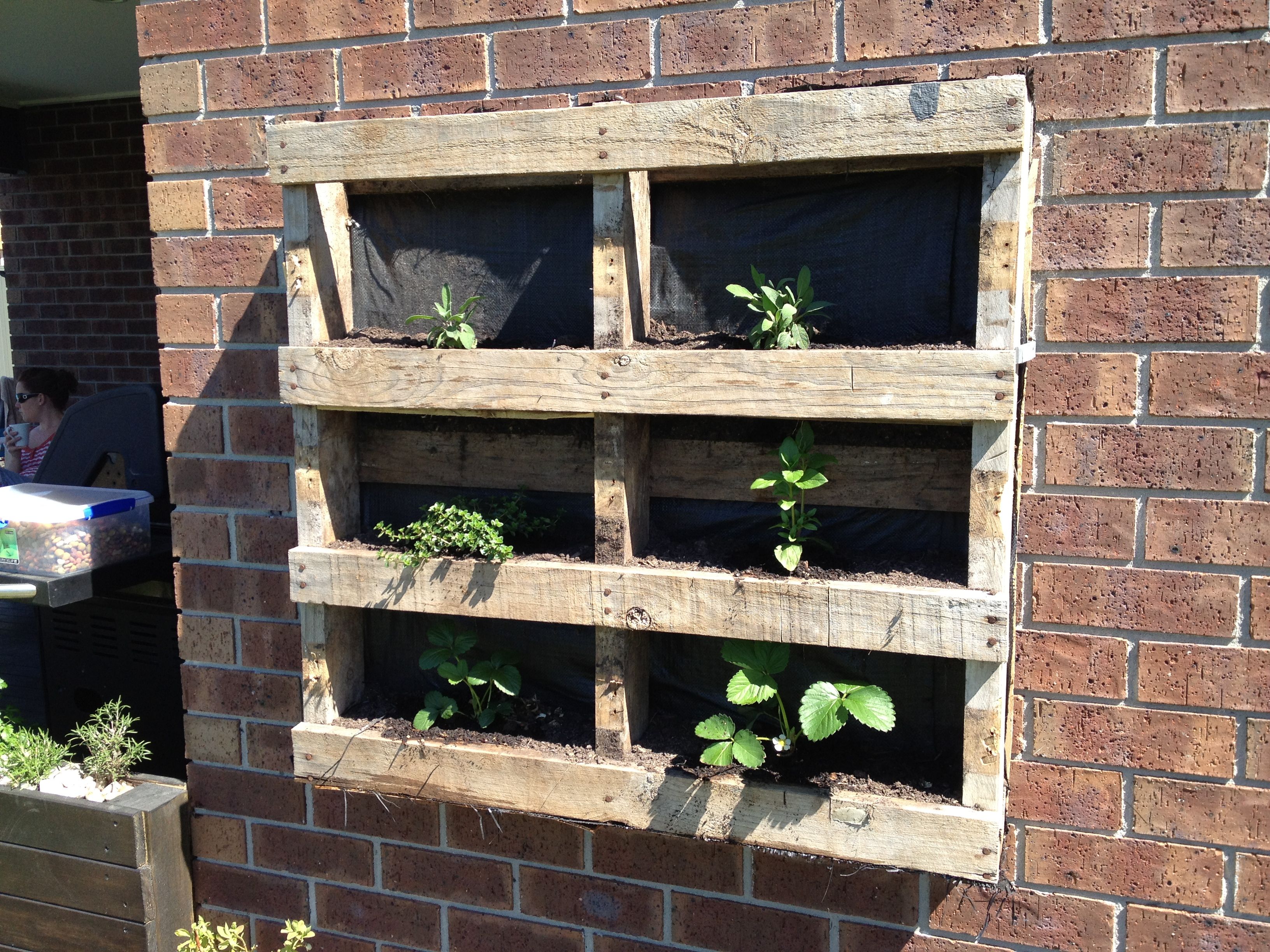 Herb Garden