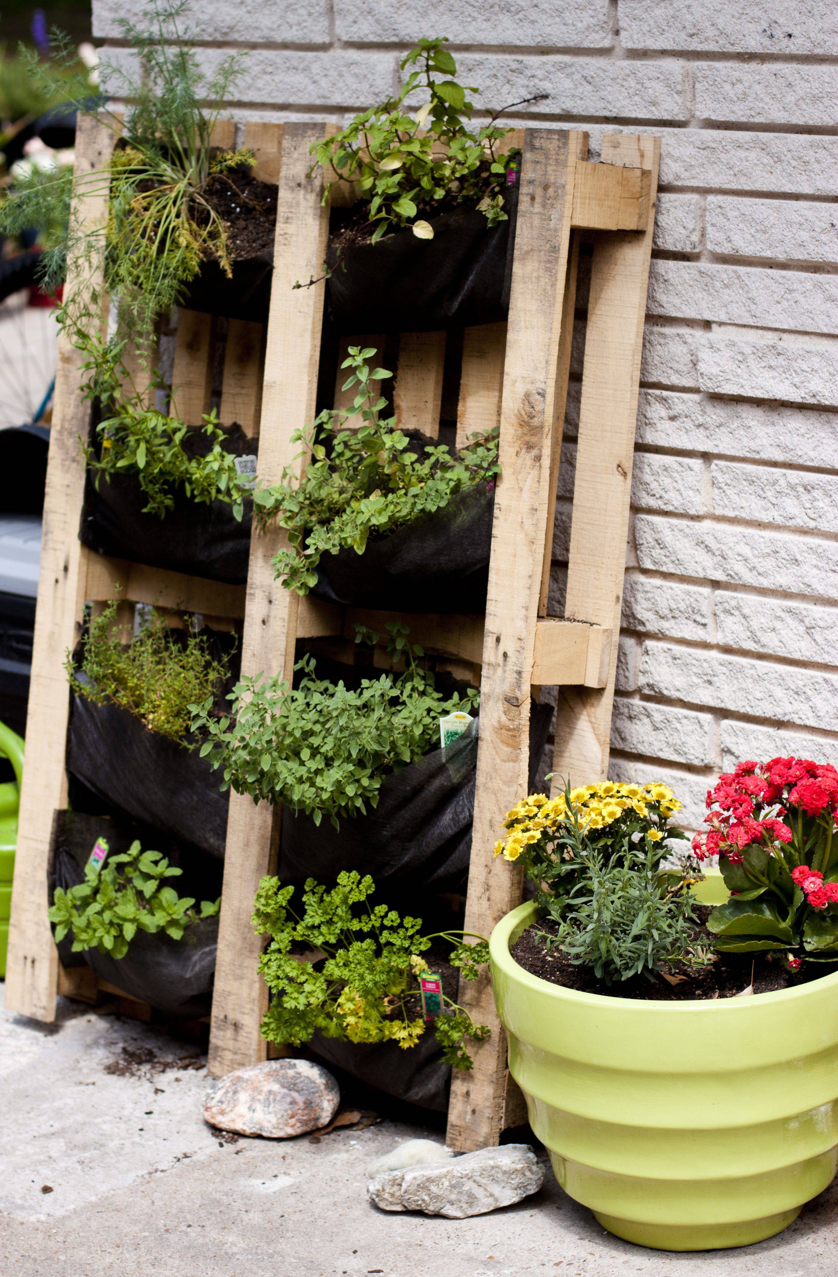 Green Thumb