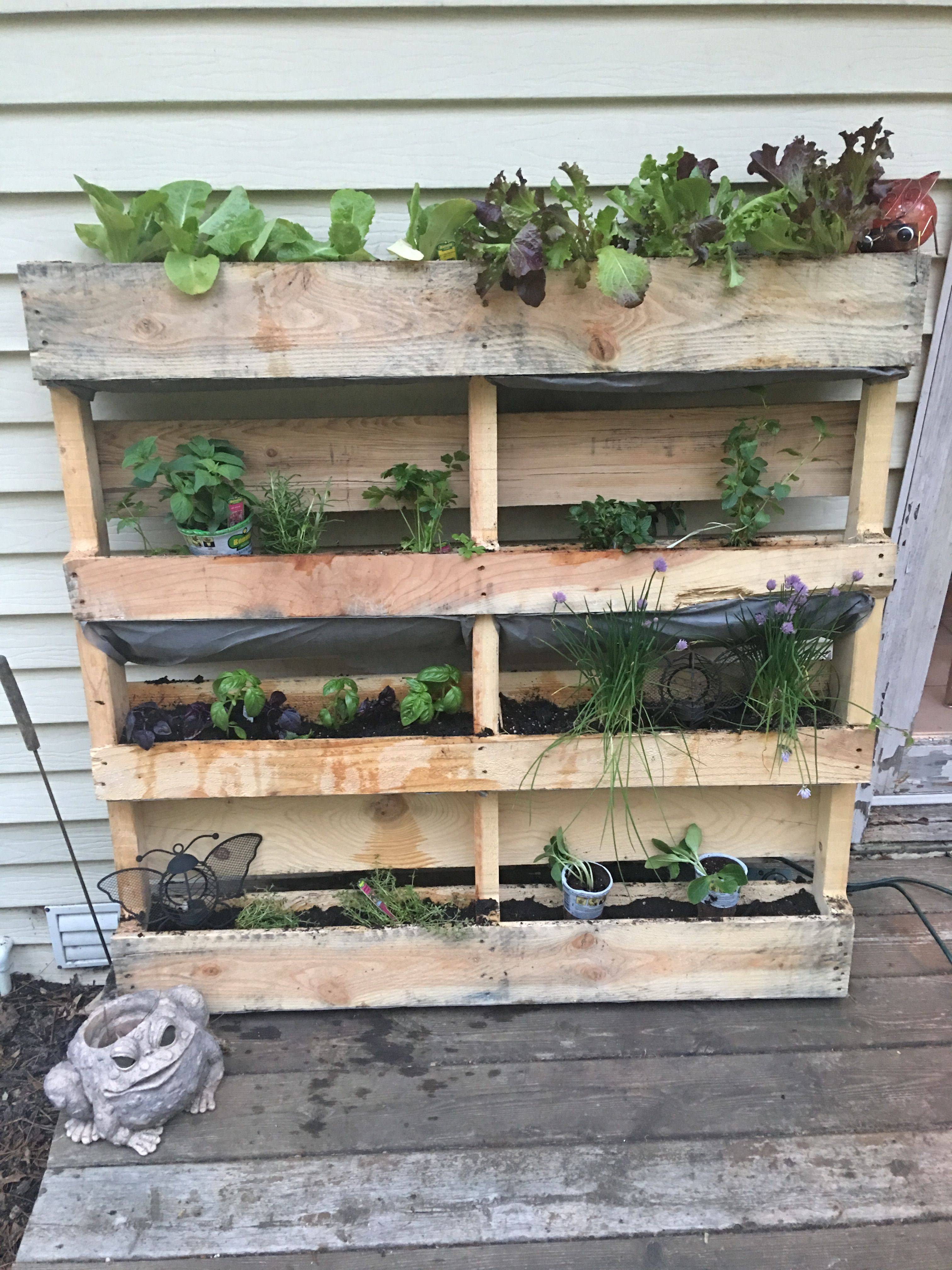 My Pallet Herb Garden