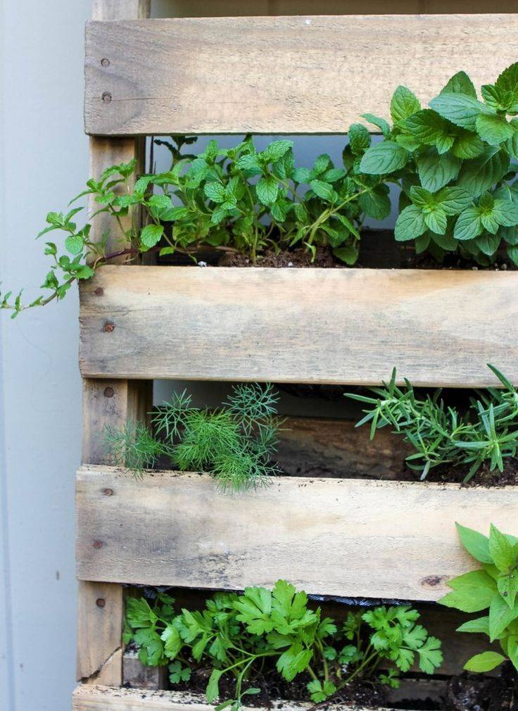 Creative Herb Garden Ideas