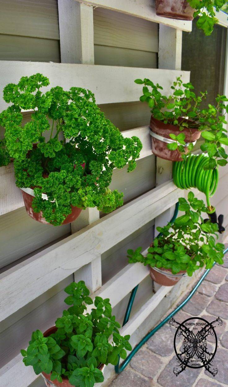 Innovative Diy Pallet Vertical Garden Ideas