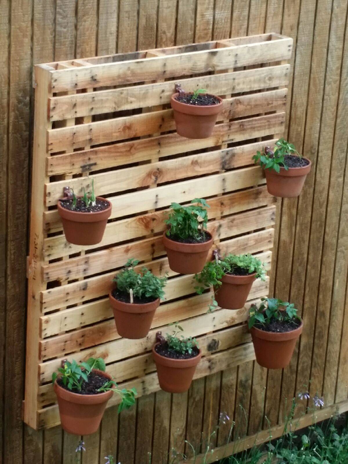 This Wall Garden Herb Garden Pallet