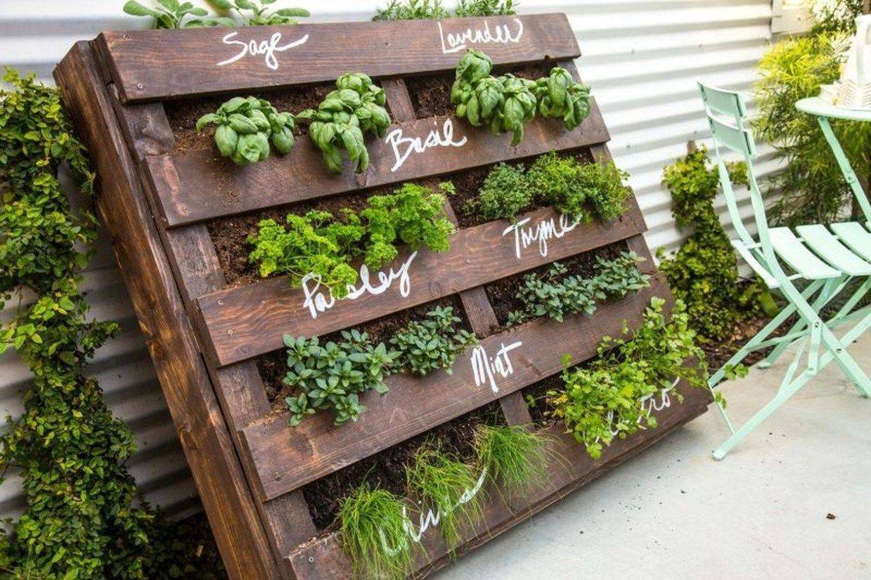 Fun And Easy Indoor Herb Garden Ideas