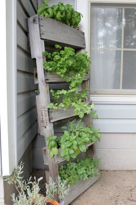 A Vertical Herb Garden