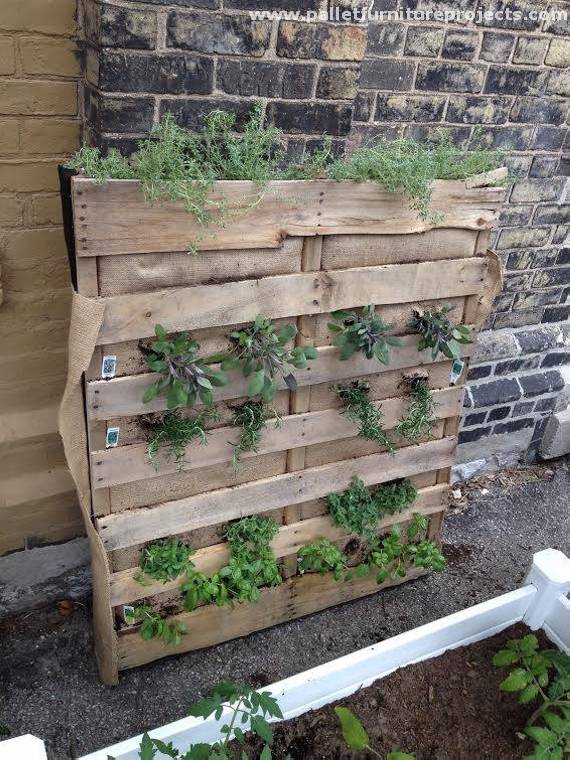 Vertical Pallet Herb Garden Jenron Designs