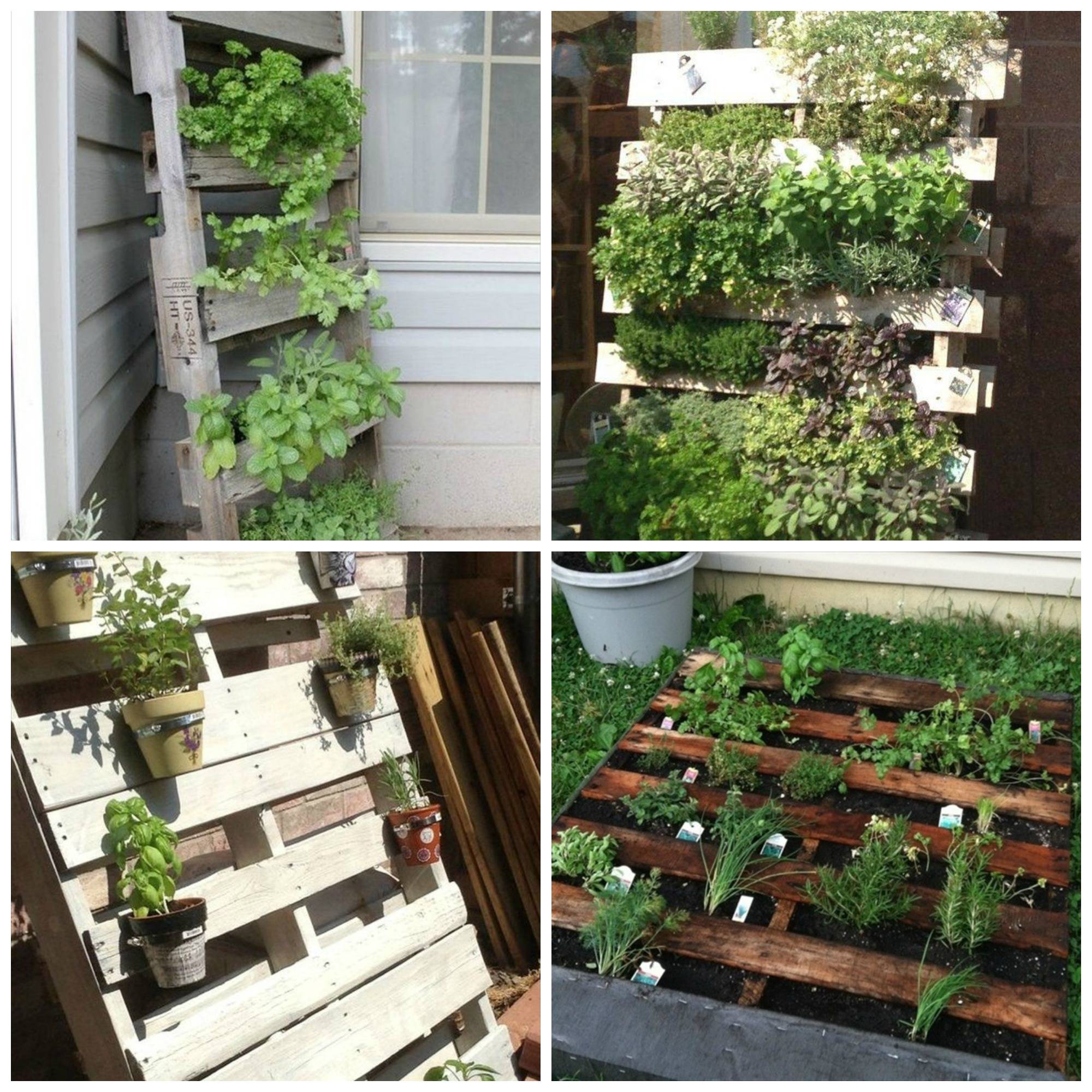 Pallets Herb Garden