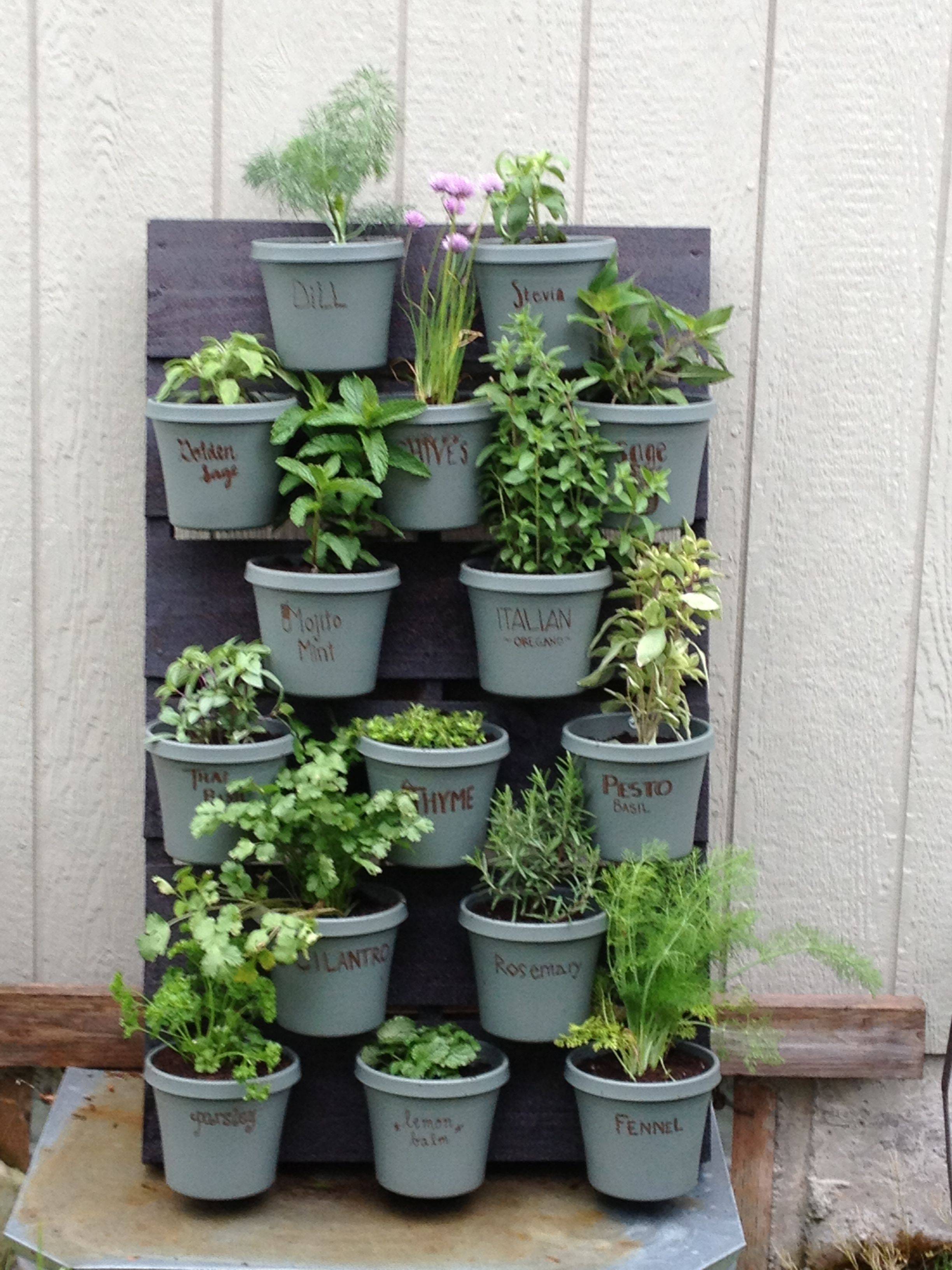 This Diy Pallet Herb Garden