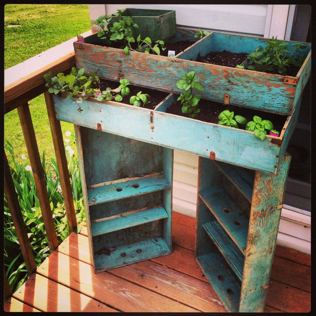 Easy Diy Kitchen Herb Gardens Roomandbath