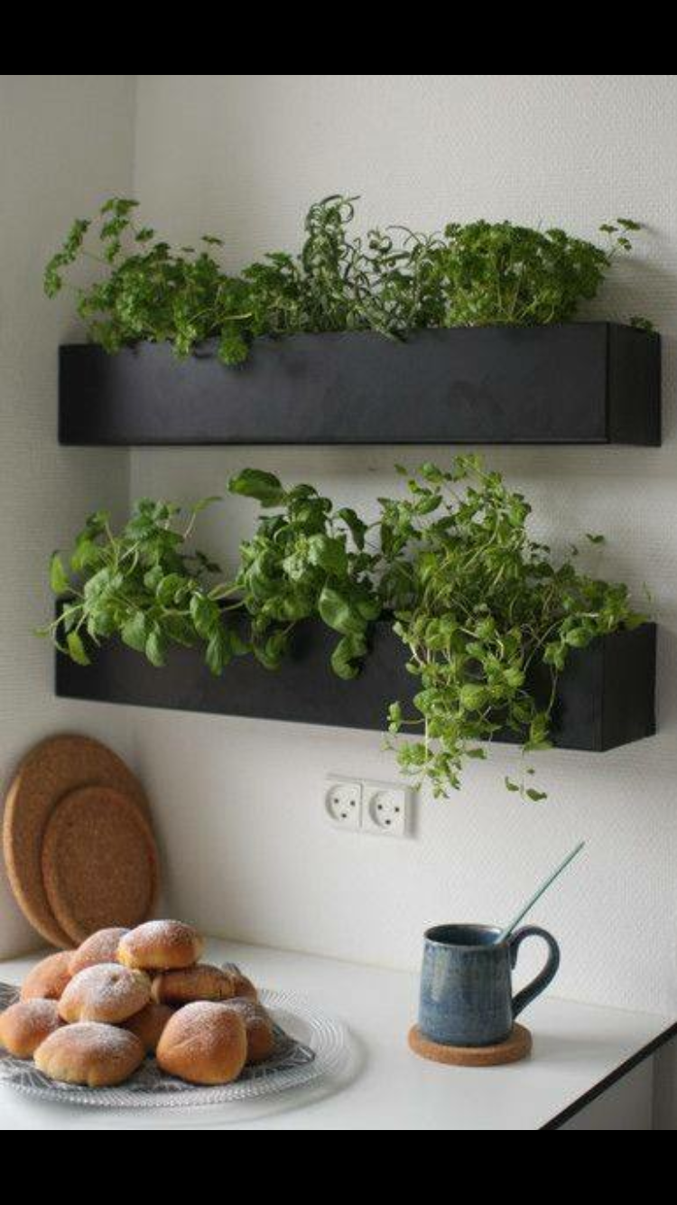 Adorable Diy Container Herb Garden Design Ideas