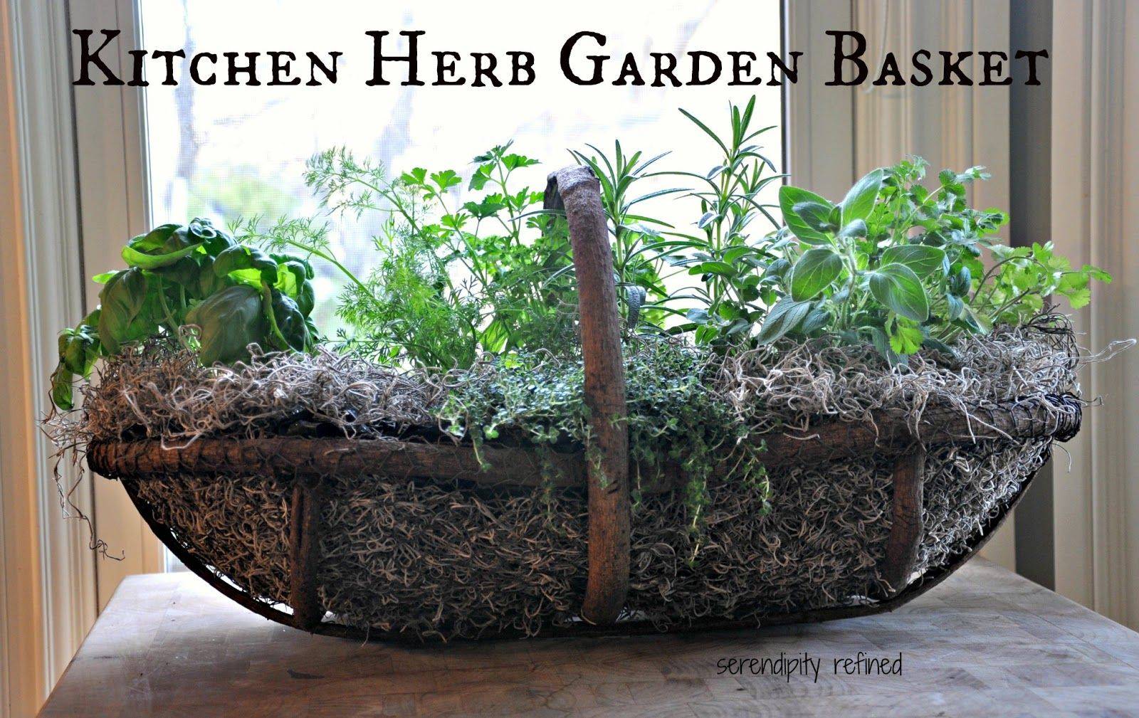 Herb Garden Inspiration