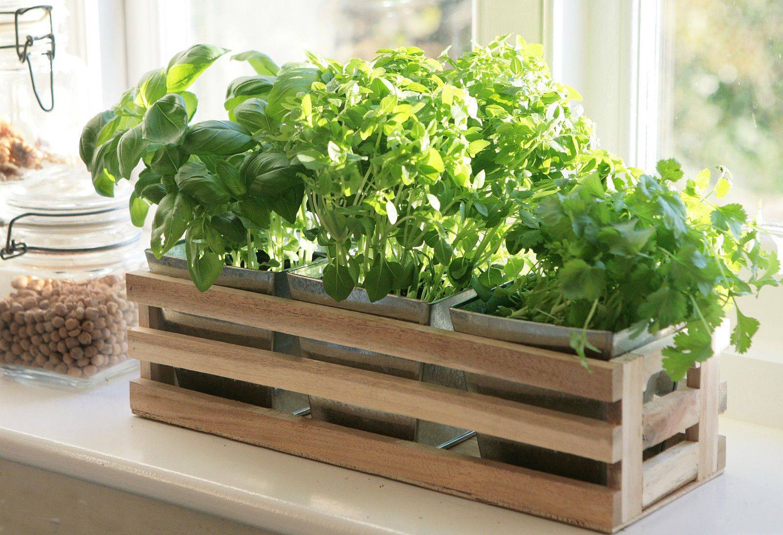 Kitchen Herb Planter Window Box Garden Pot Antique Amazoncouk