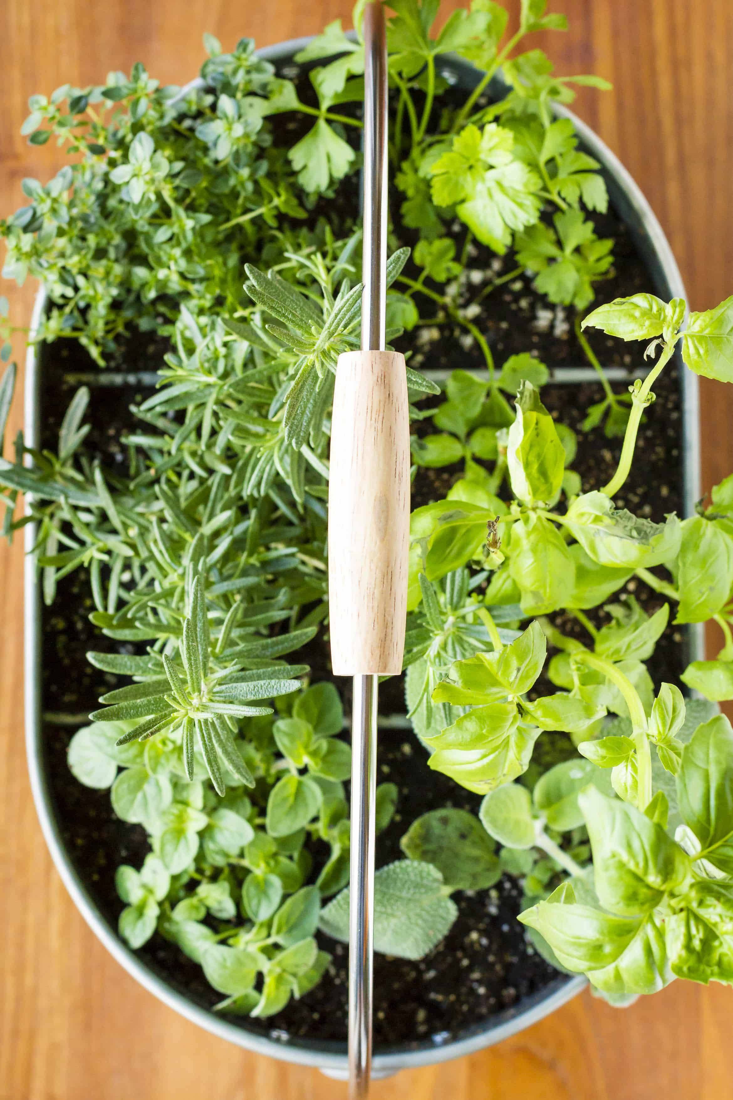 Spectacular Herb Gardening Idea