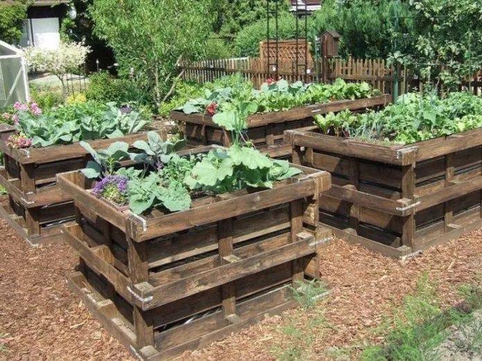 Smart Diy Gardening Ideas