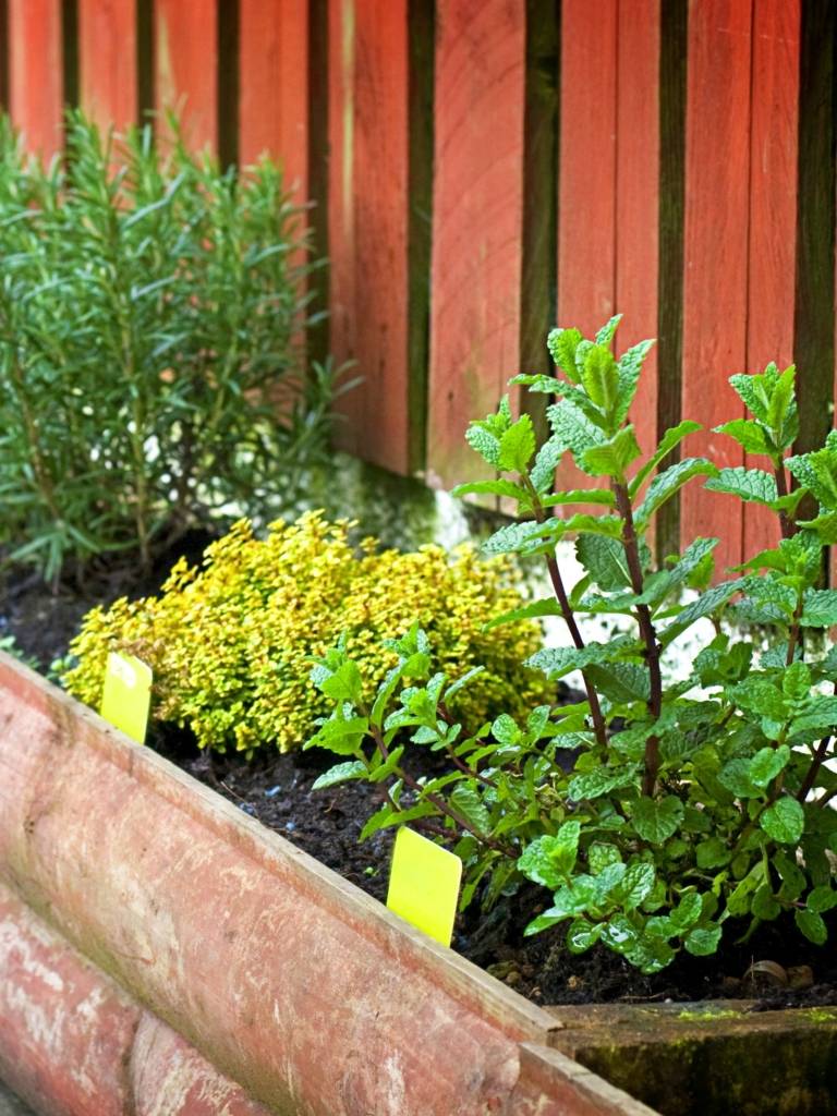 Beautiful Backyard Landscaping Ideas