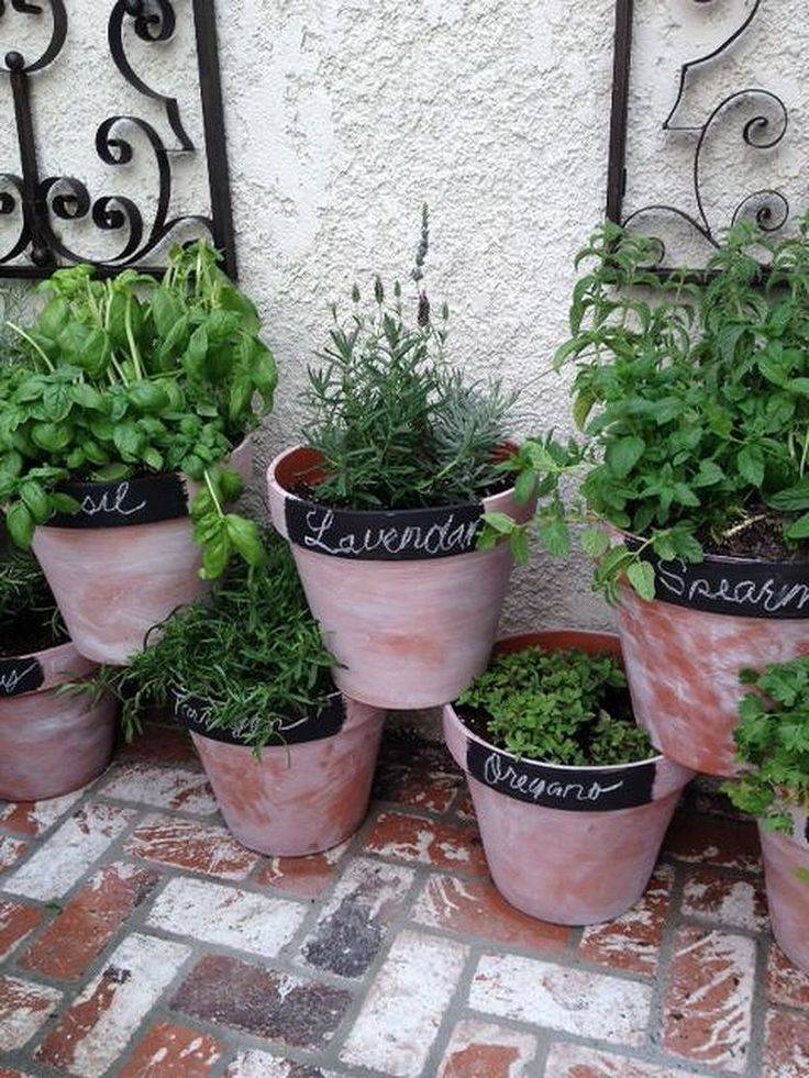 Back Porch Herb Garden