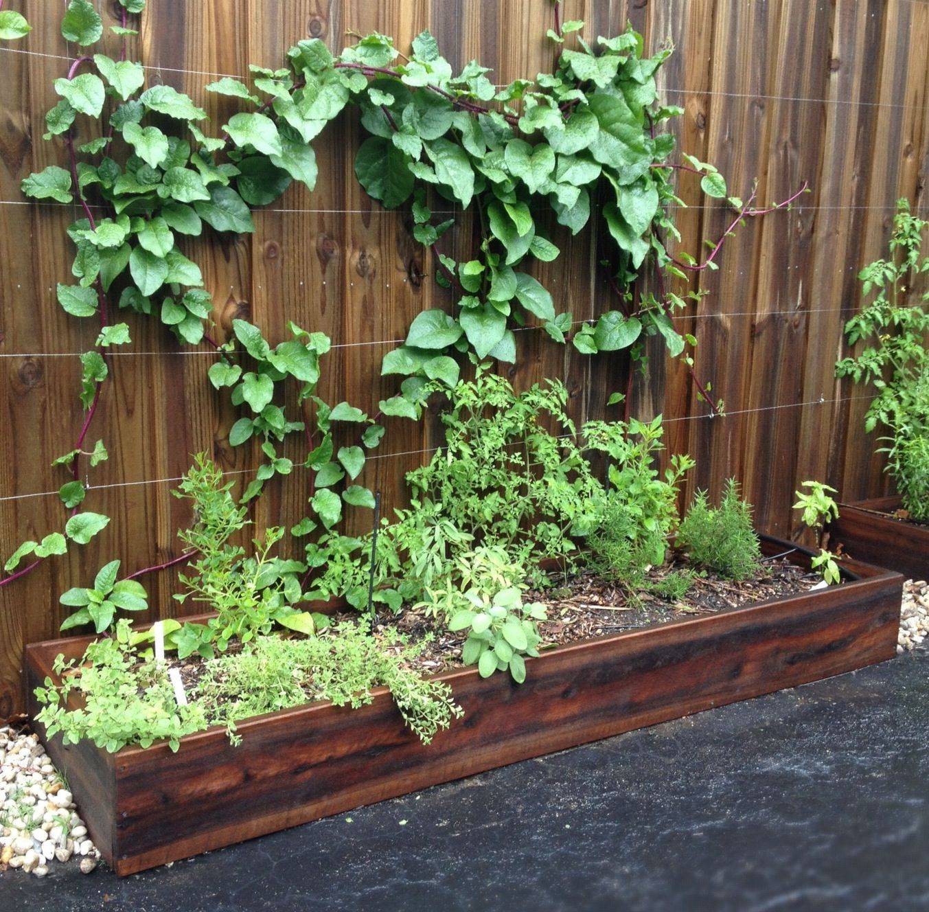 Checkerboard Herb Garden
