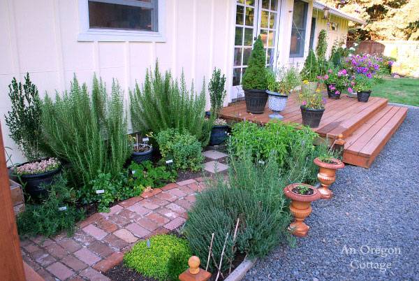 Our Back Porch Lookin