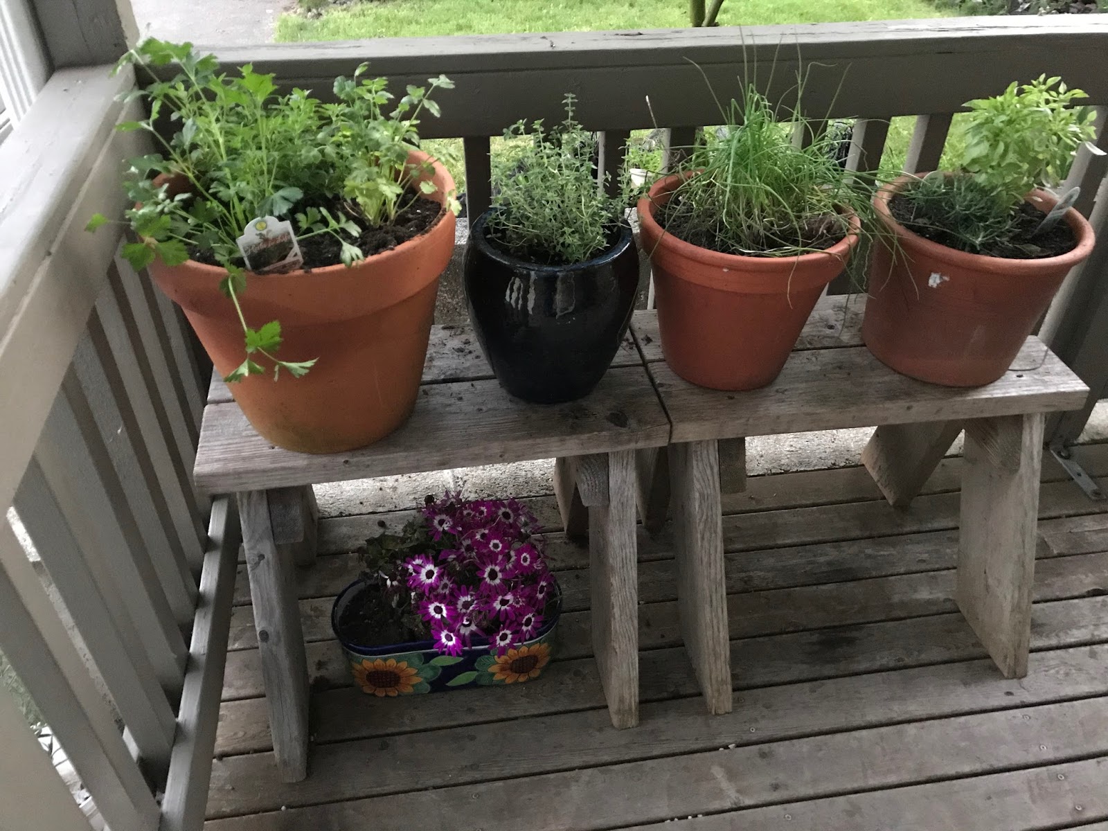 25 Back Porch Herb Garden Ideas You Gonna Love SharonSable