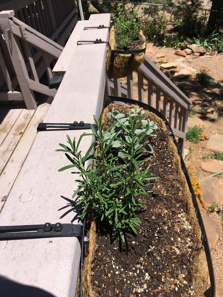 Outdoor Gardens