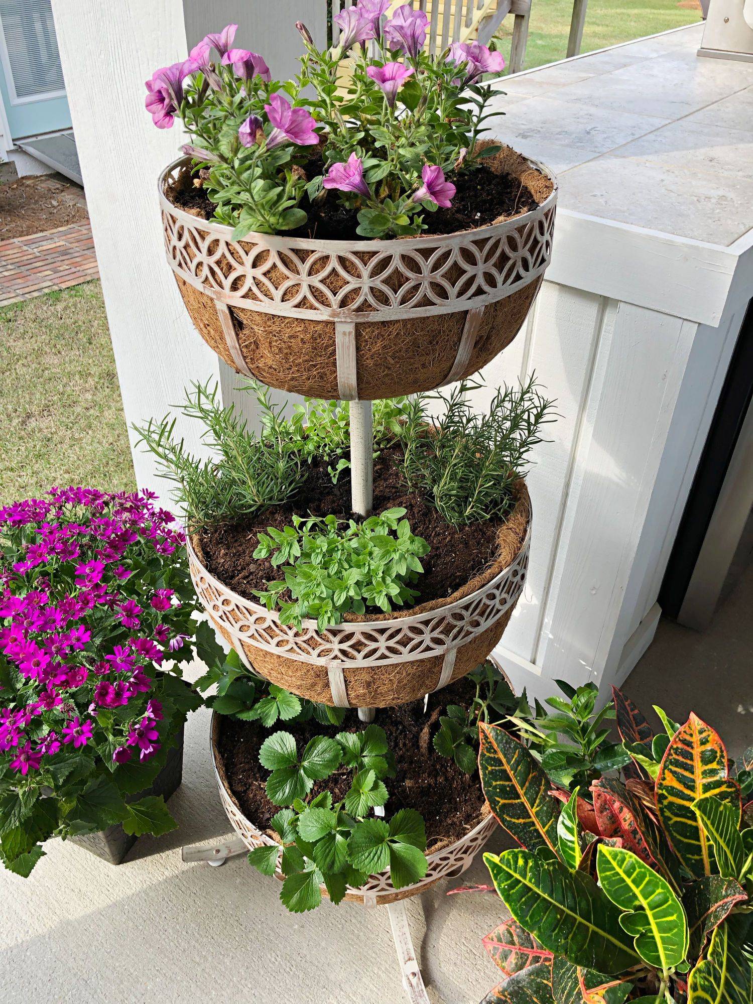 The Back Porch